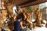 Bali Bird Park And Ubud Tour
