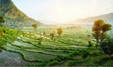 Bali Besakih Tour