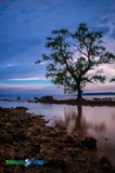Wisata Pulau Peucang Ujung Kulon