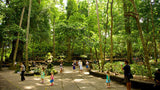 Bali Zoo Park Dan Ubud Tour