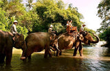 Bali Zoo Park Dan Ubud Tour