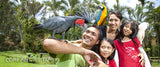 Bali Bird Park And Ubud Tour