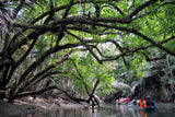 Wisata Pulau Peucang Ujung Kulon
