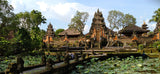 Bali Bird Park And Ubud Tour