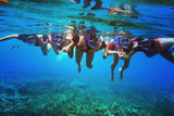 Wisata Pulau Peucang Ujung Kulon