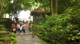 Bali Bird Park And Ubud Tour